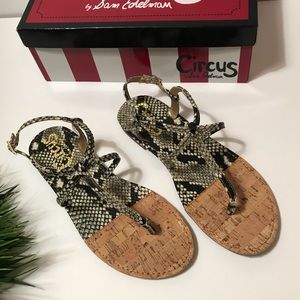 Sam Edelman Snakeskin Strap Sandals ONLY 2 LEFT!!